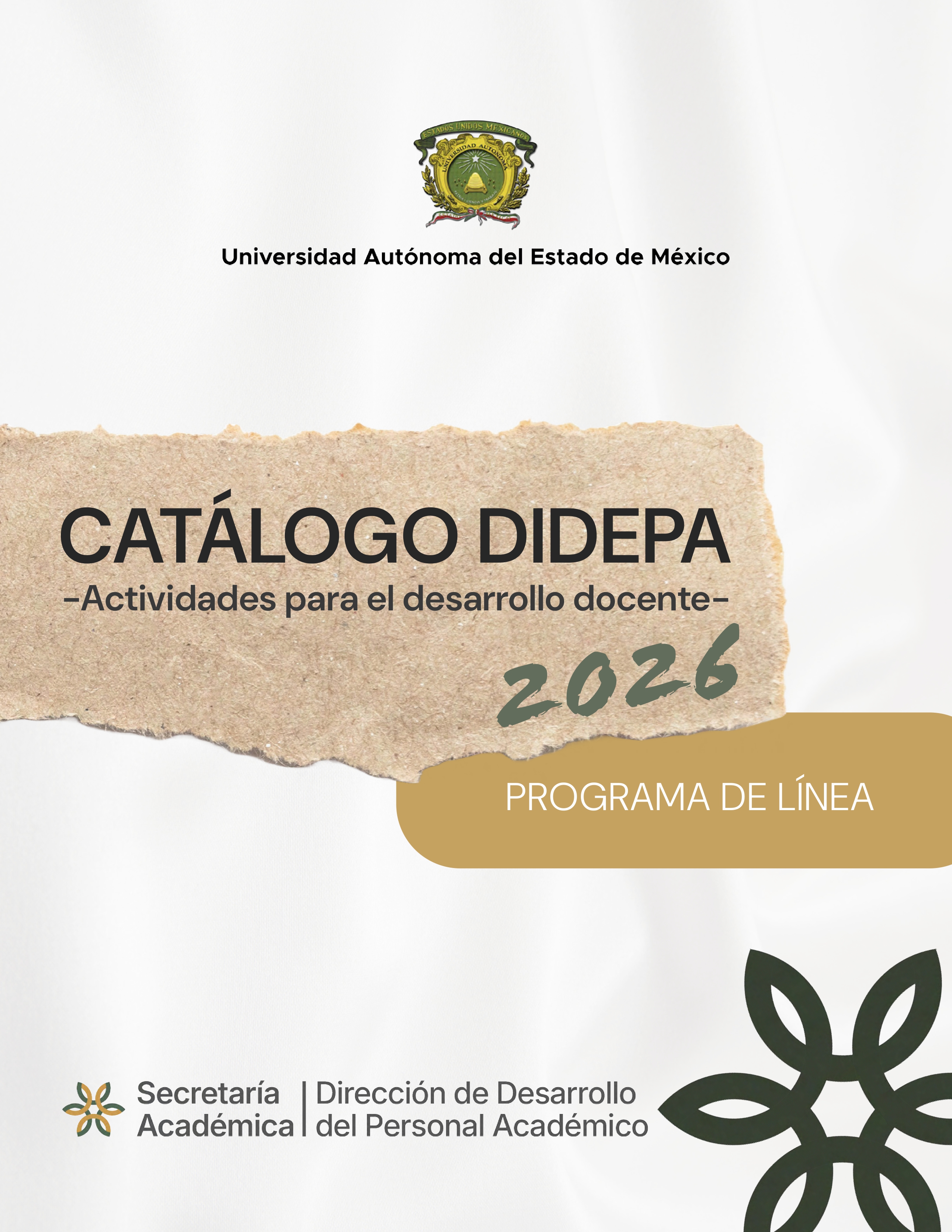 PROGRAMA DIDEPA